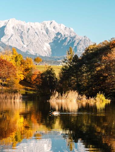 herbst2019-ritzensee-4-michaelgeissler