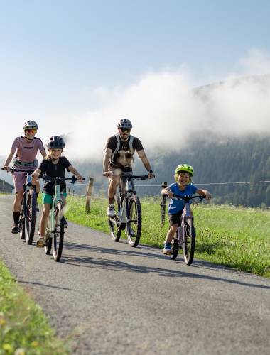 mtb-seealm-leogang-andreasputz-12