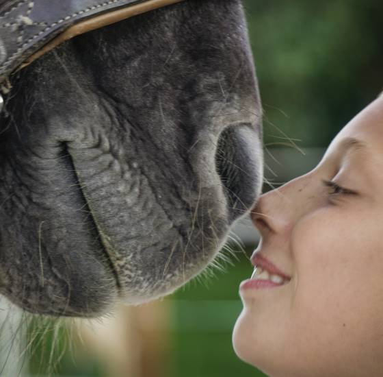 Nase an Nase - Pferd und Mädchen halten Ihre Nasen zusammen