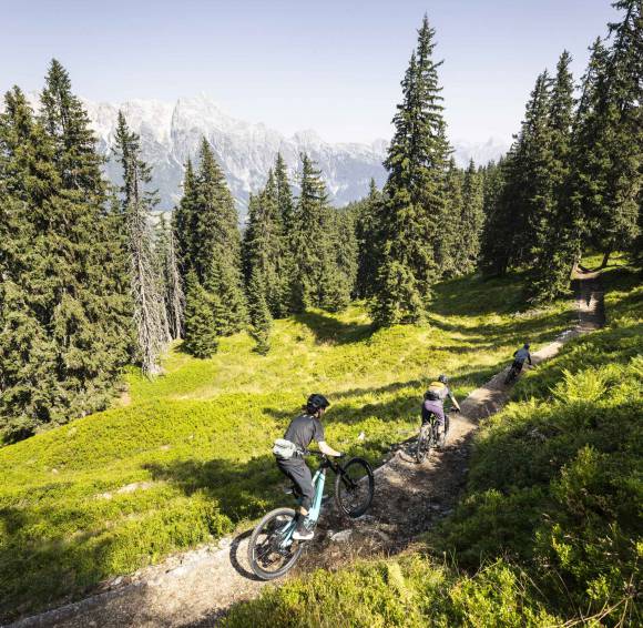 Biker fahren den Mountainbike Trail entlang