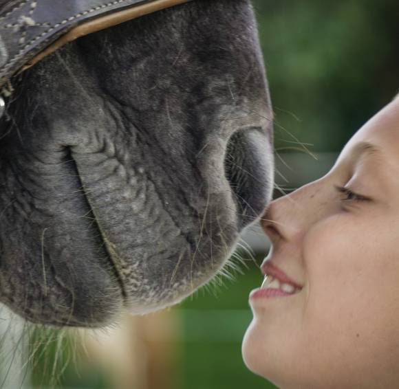Nase an Nase - Pferd und Mädchen halten Ihre Nasen zusammen