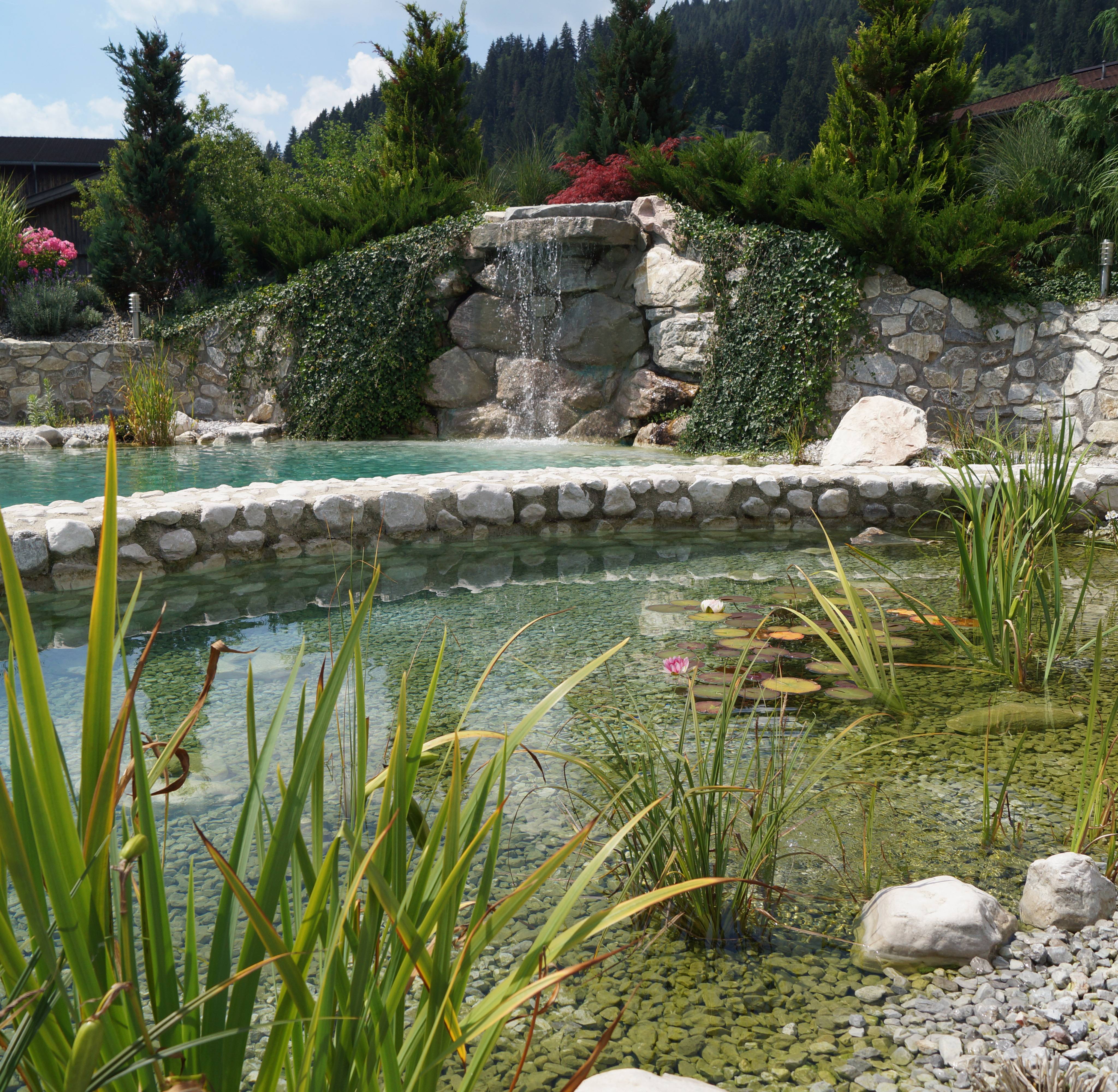 Naturpool in Leogang vom Thomanhof
