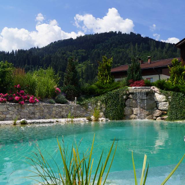 Naturpool auf den Bauernhof in Saalfelden